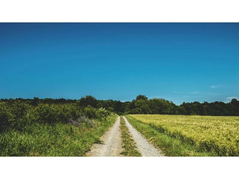 Aranyakaa delivers ten major projects in a short period of 3 years Aranyakaa delivers ten major projects in a short period of 3 years