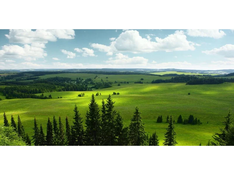 KPMG and Colliers report reveals the impact of sustainable practices in the real estate sector