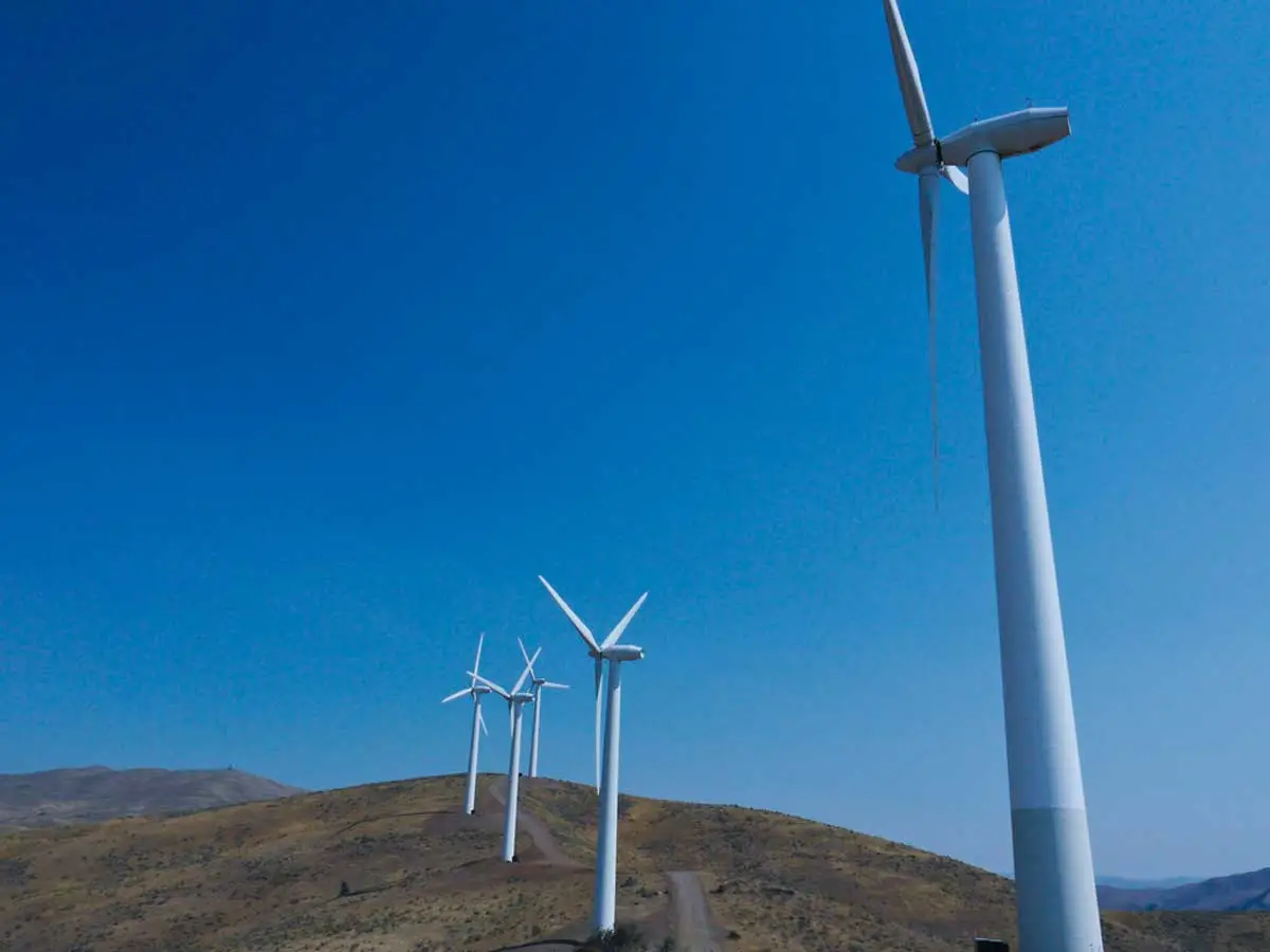 Reverse auctions for energy projects may be eliminated by the govt