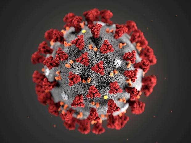 Bengaluru doctor who recovered from Omicron tests Covid positive again