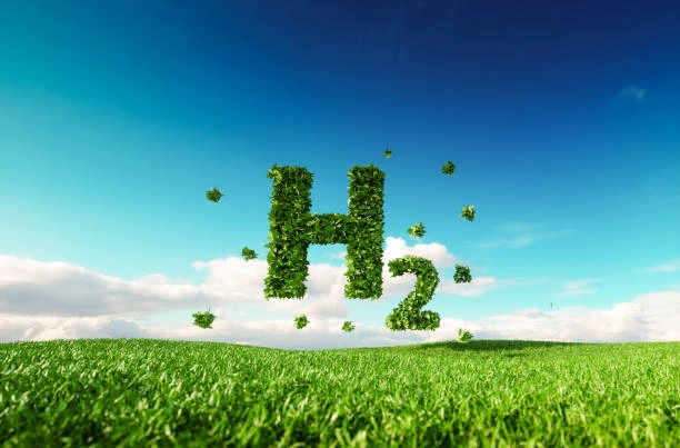 GreenZo Energy to develop 250 MW electrolyser factory by 2025-end