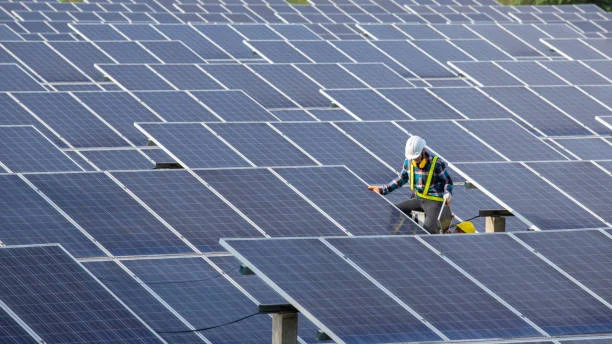 Punjab floats tender for 217 MW solar projects under PM-KUSUM