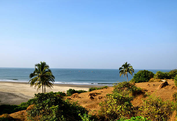 Goa govt seeks extension to finalise draft coastal management plan