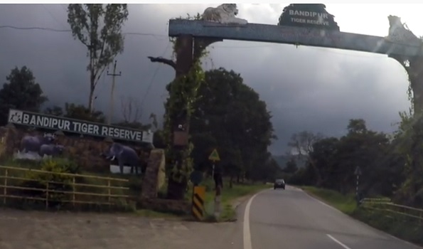 NHAI asks govt for diversion of forest land in Bandipur Tiger Reserve NHAI asks govt for diversion of forest land in Bandipur Tiger Reserve