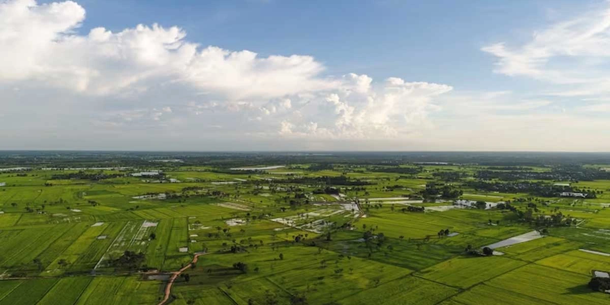 333 plots auctioned by Kanpur development body