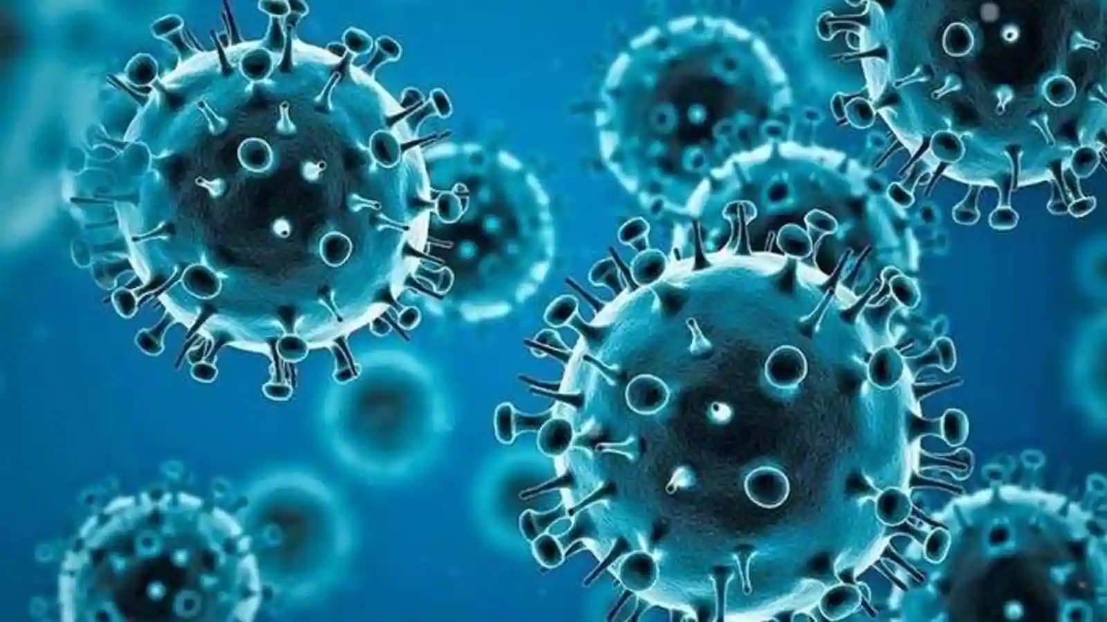 Classification of Omicron (B.1.1.529): SARS-CoV-2 Variant of Concern