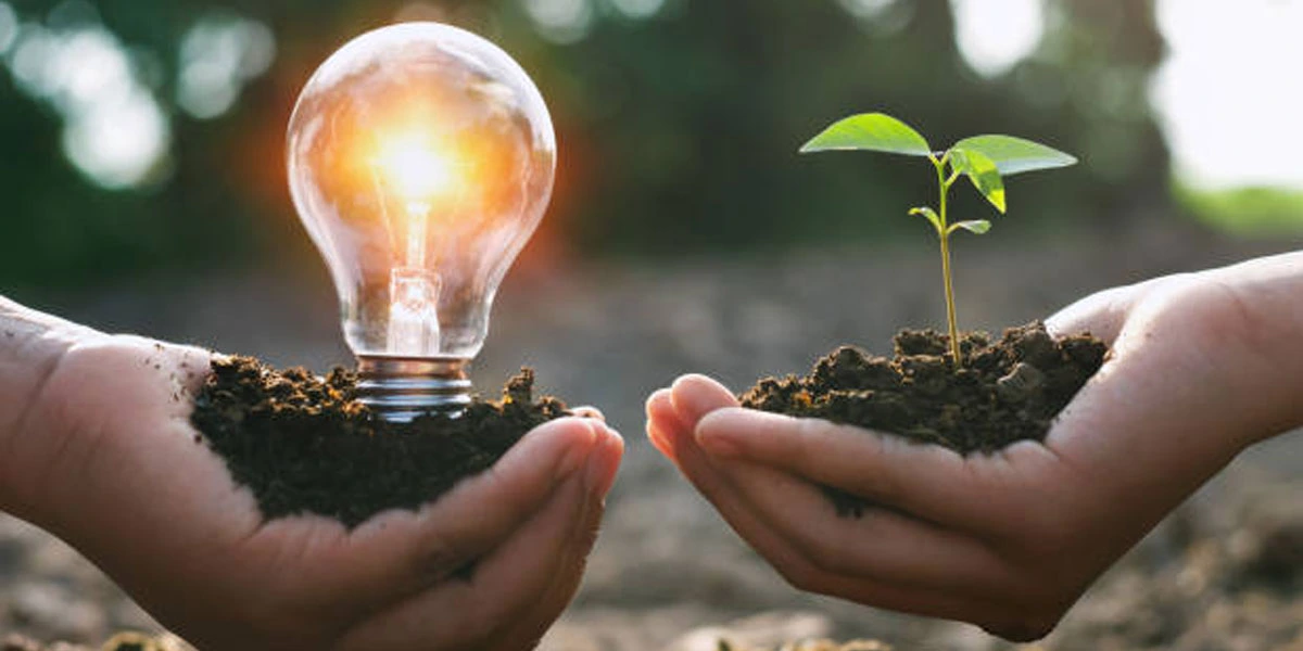 NMDC plans to invest in green energy capacities
