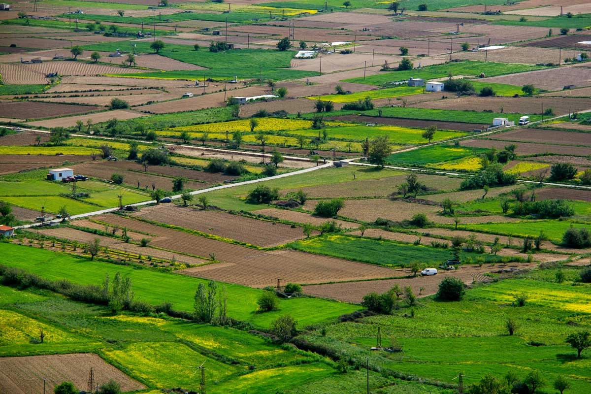 Navi Mumbai: Plot sold for record Rs 554,000 per sq m