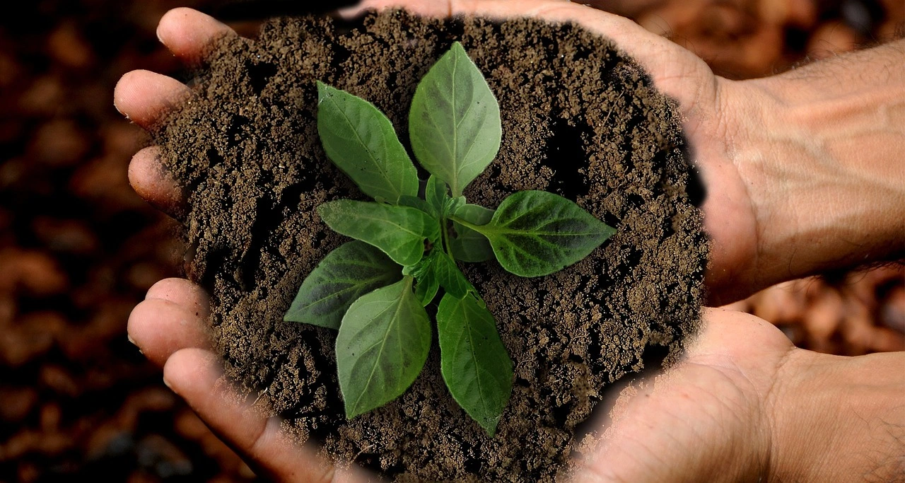 Jindal Stainless reduces 1.4 lakh tonnes of CO2 emissions in FY22