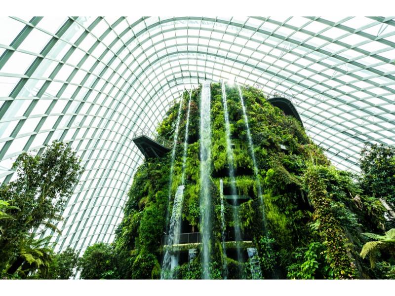 The business case for sustainability in Indian retail