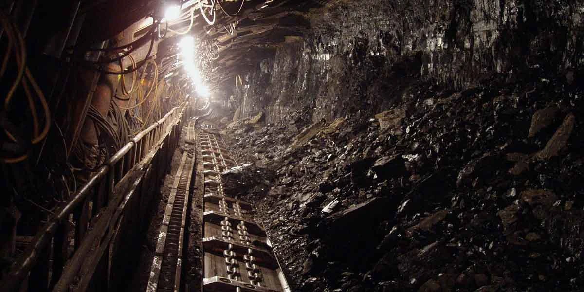 Assam losing Rs 20 bn revenue per month due to illegal coal mining