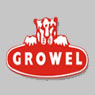 grauer & weil india ltd