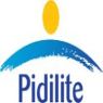 pidilite industries ltd
