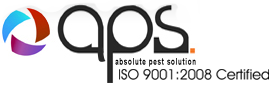Absolute Pest Solution