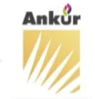 Ankur Foundation Private Limited