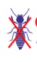 City Pest Control Services