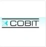 Cobit Engineering Private Limited