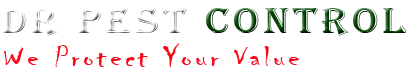 Dr Pest Control Dr Pest Control