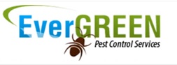 Evergreen Pest Control Services