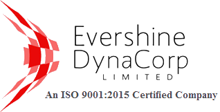 Evershine Dynamic Corporation Limited