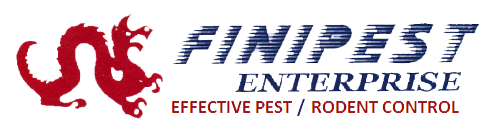 Finipest Enterprises