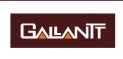 Gallantt Group