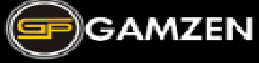 Gamzen India