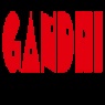 Gandhi Automations Pvt Ltd