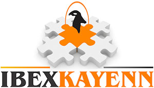 Ibex Gallagher Pvt Ltd