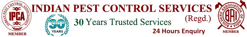 Indian Pest Control Services