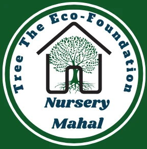 Nursery Mahal