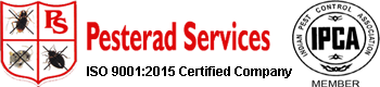 Pesterad Services