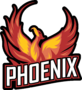 Phoenix Corporation