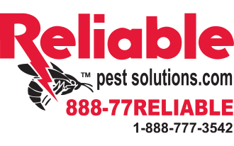 Reliable Pest Control