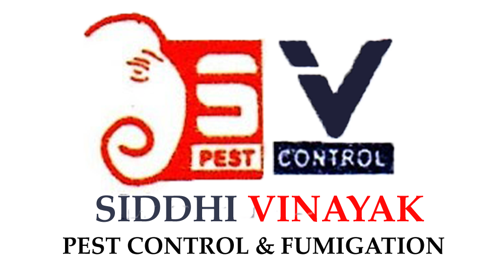 Siddhi Vinayak Pest Control & Fumigation