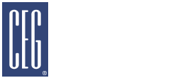 The Consulting Engineers Group Inc