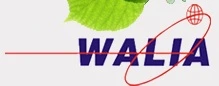 Walia International Machines Corporation