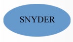 Snyder Energo Pvt Ltd