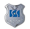 Shinestar Steel Group Co Ltd