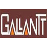 Gallantt Metal Ltd