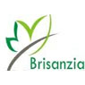 Brisanzia Technologies Private Limited